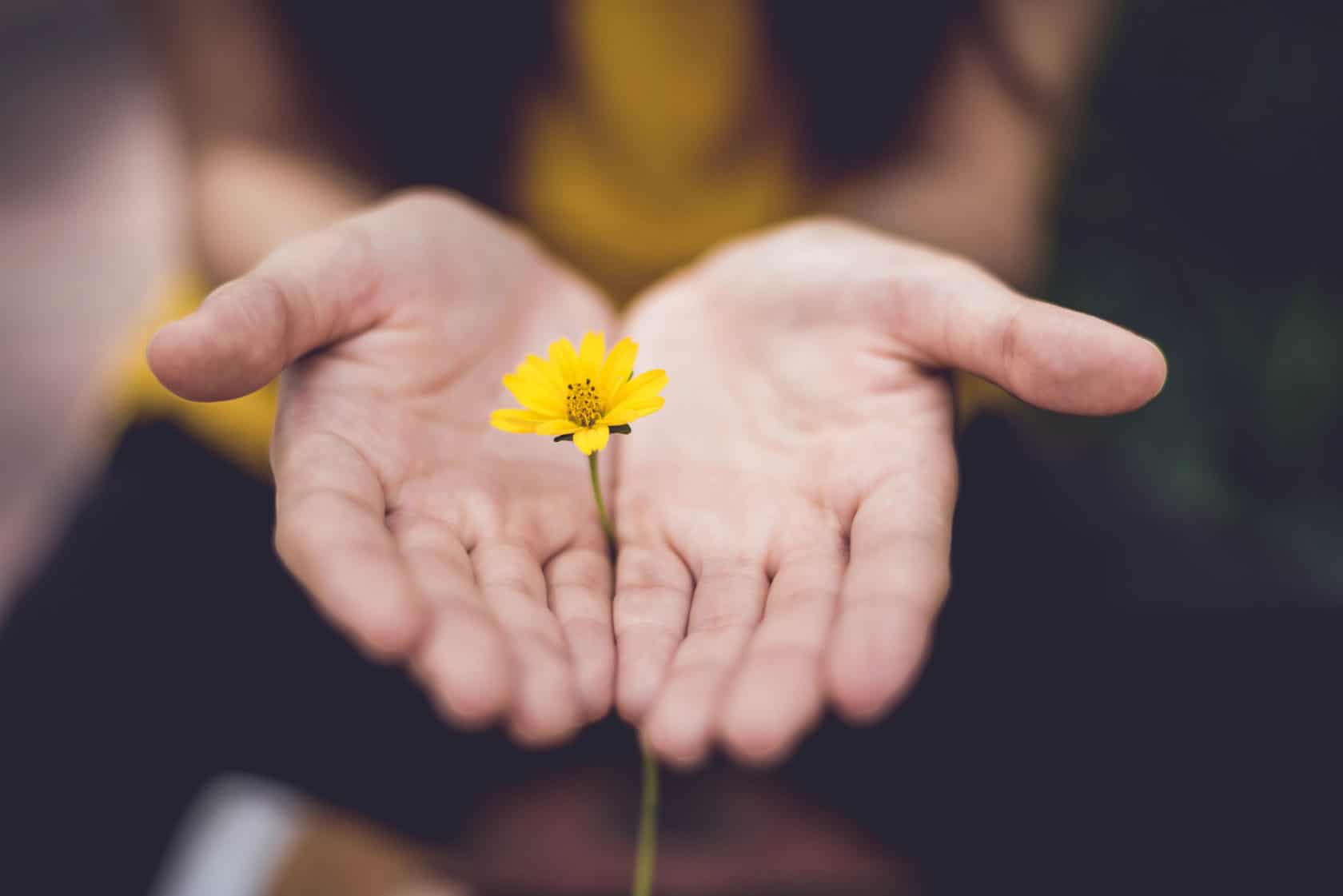 Hand holding flowers