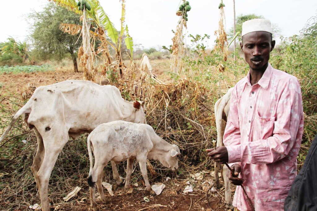 Africa drought