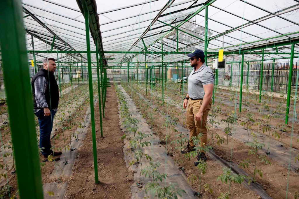 global food crisis Ukraine