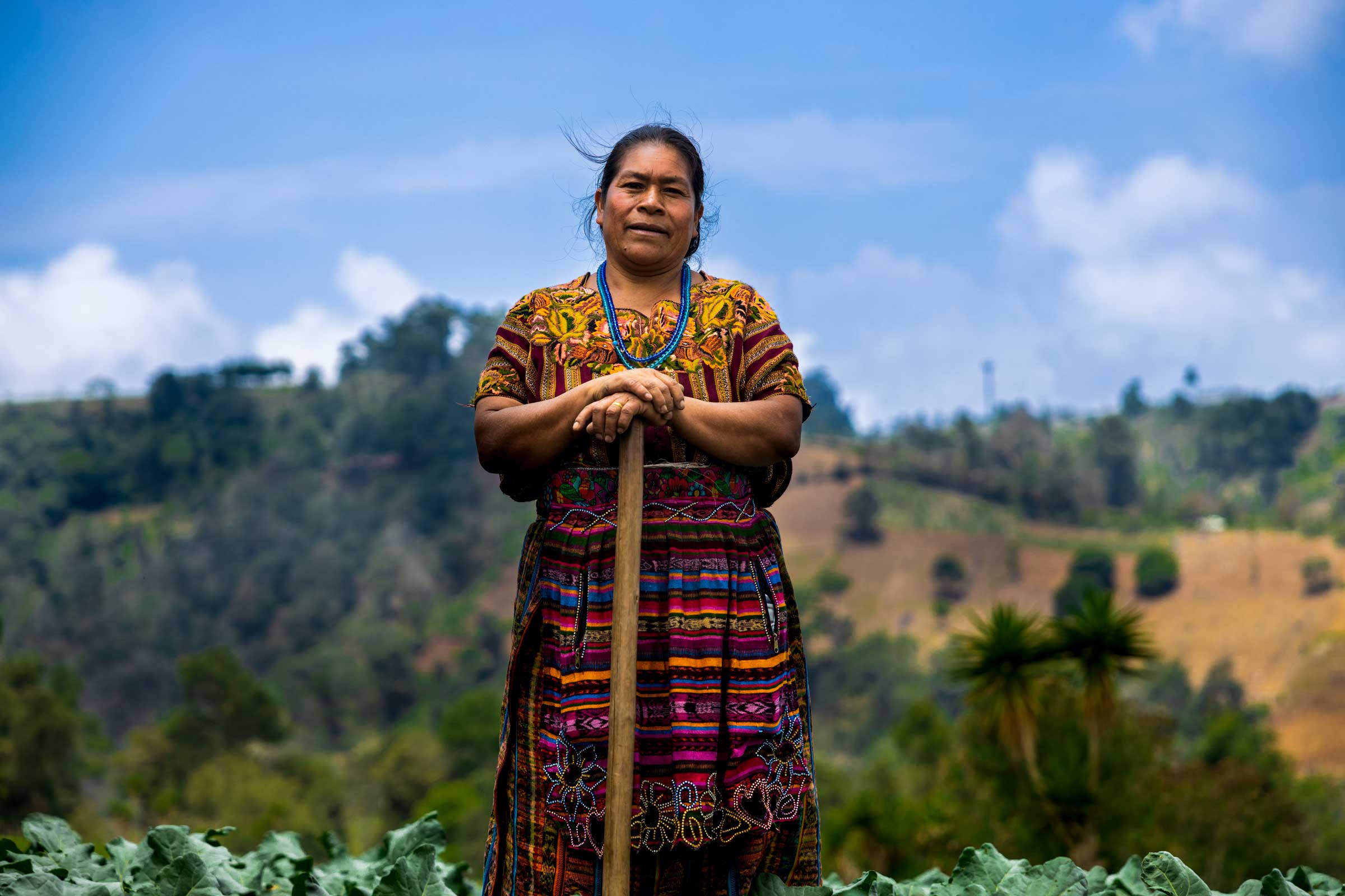 generational poverty fought with agriculture