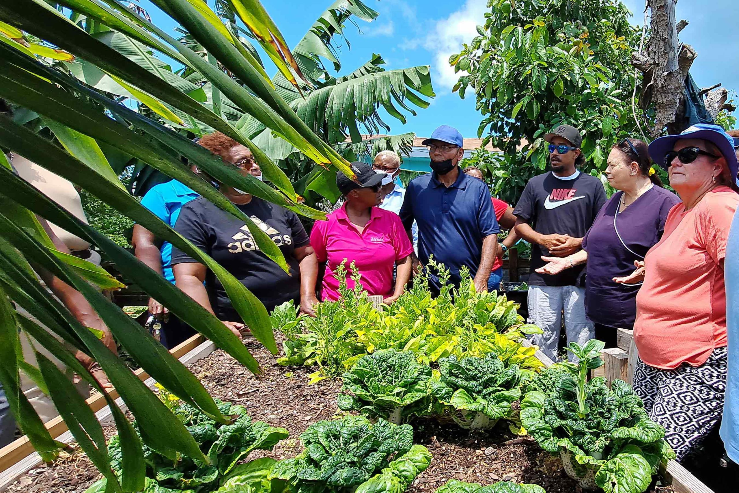 USAID help farmers