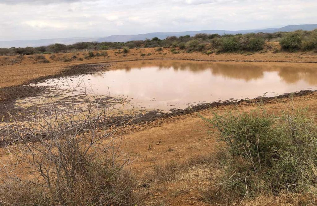 Africa drought
